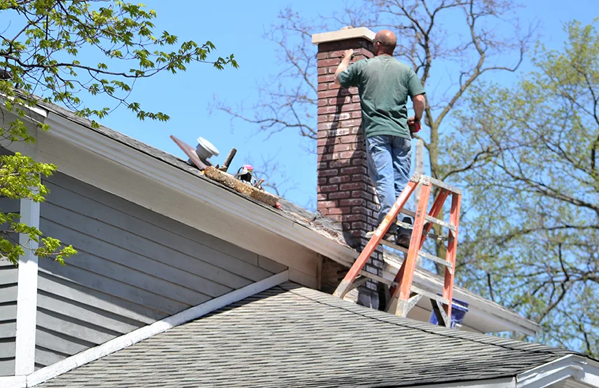 Chimney & Fireplace Inspections Services in Mount Pleasant, WI